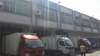 湛江至广州及深圳冷藏运输 精武物流，专业认证，全程无忧